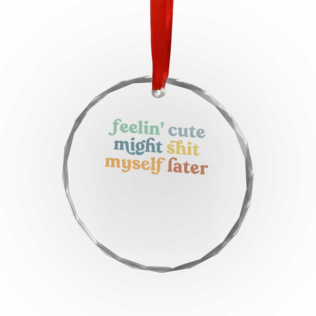 Feeling Cute Might Shit Myself Later Crystal Glass Ornament Funny Newborn Gift TS10 Transparent Glass 3'' Circle Print Your Wear