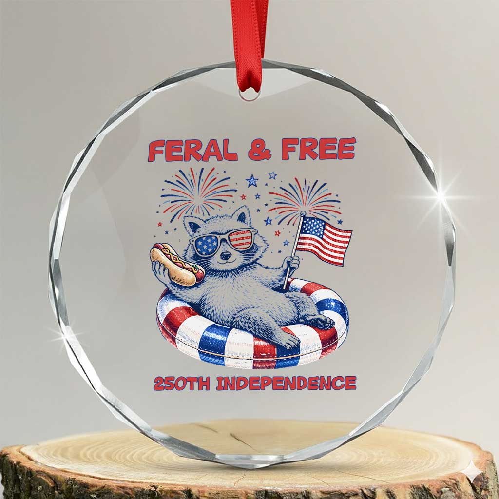 Feral and Free Funny Raccoon 4th of July Crystal Glass Ornament 250 Years Of Freedom TS14 Transparent Glass 3'' Circle Print Your Wear