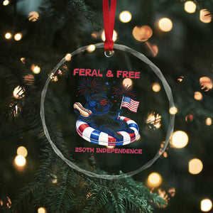 Feral and Free Funny Raccoon 4th of July Crystal Glass Ornament 250 Years Of Freedom TS14 Print Your Wear