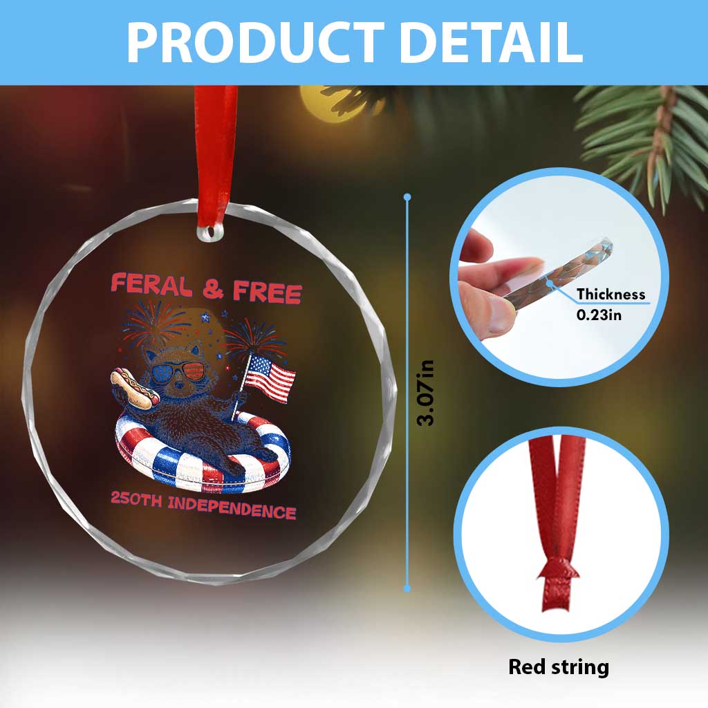 Feral and Free Funny Raccoon 4th of July Crystal Glass Ornament 250 Years Of Freedom TS14 Print Your Wear