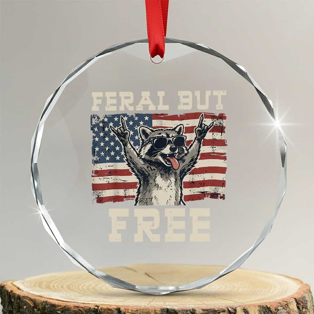 Feral But Free Funny Raccoon Patriotic Crystal Glass Ornament Cool American Flag Sunglasses Rock On Hand Signs Vintage USA Flag TS02 Transparent Glass 3'' Circle Print Your Wear