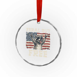 Feral But Free Funny Raccoon Patriotic Crystal Glass Ornament Cool American Flag Sunglasses Rock On Hand Signs Vintage USA Flag TS02 Print Your Wear
