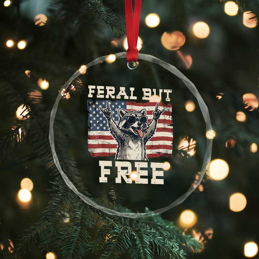 Feral But Free Funny Raccoon Patriotic Crystal Glass Ornament Cool American Flag Sunglasses Rock On Hand Signs Vintage USA Flag TS02 Print Your Wear