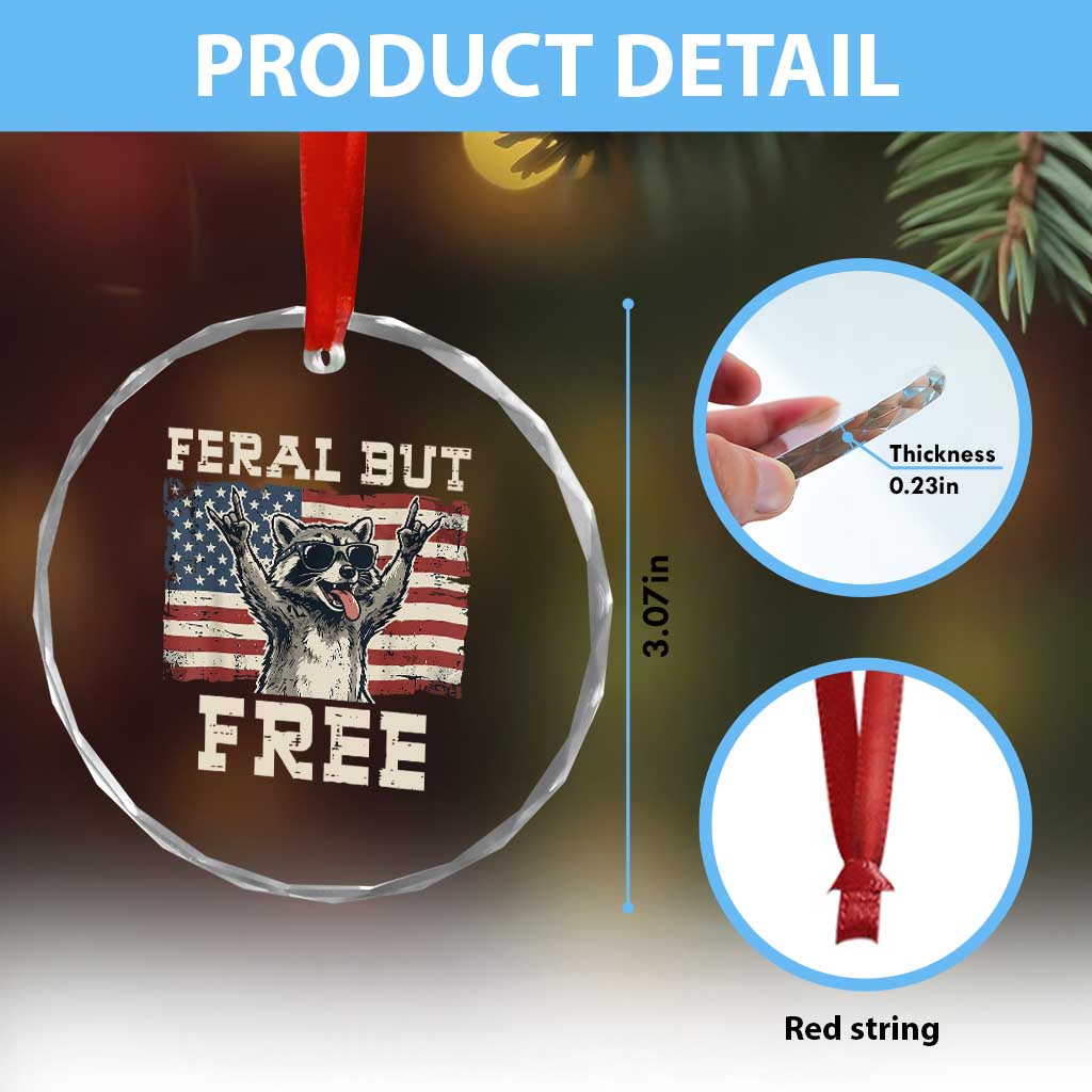 Feral But Free Funny Raccoon Patriotic Crystal Glass Ornament Cool American Flag Sunglasses Rock On Hand Signs Vintage USA Flag TS02 Print Your Wear