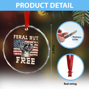 Feral But Free Funny Raccoon Patriotic Crystal Glass Ornament Cool American Flag Sunglasses Rock On Hand Signs Vintage USA Flag TS02 Print Your Wear
