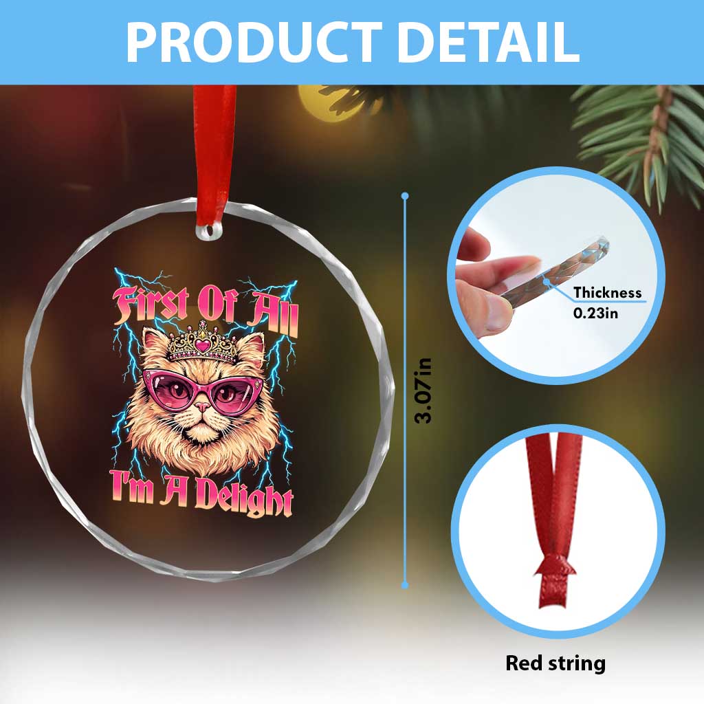 First Of All Im A Delight Crystal Glass Ornament Geek Princess Cat Gift