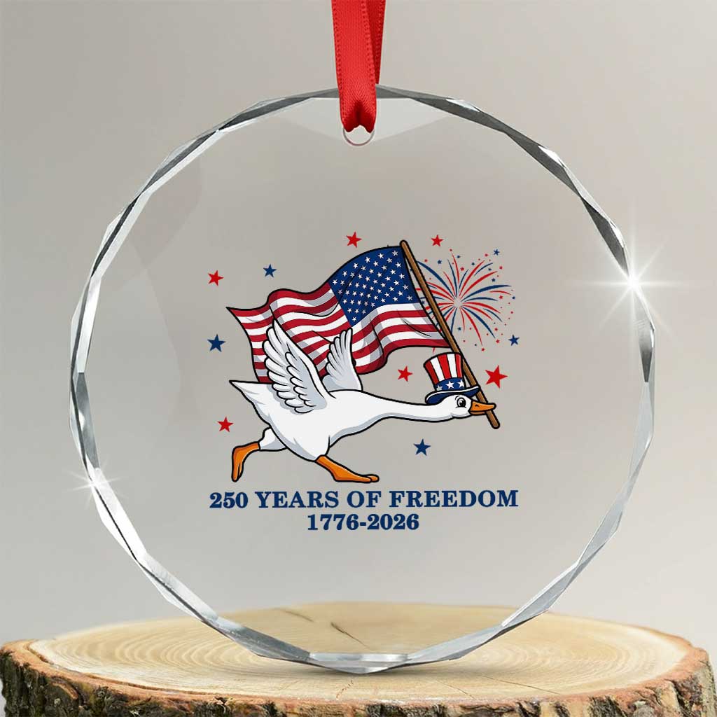 Freedom 250th Anniversary Crystal Glass Ornament Funny 4th Of July Silly Goose TS14 Transparent Glass 3'' Circle Print Your Wear