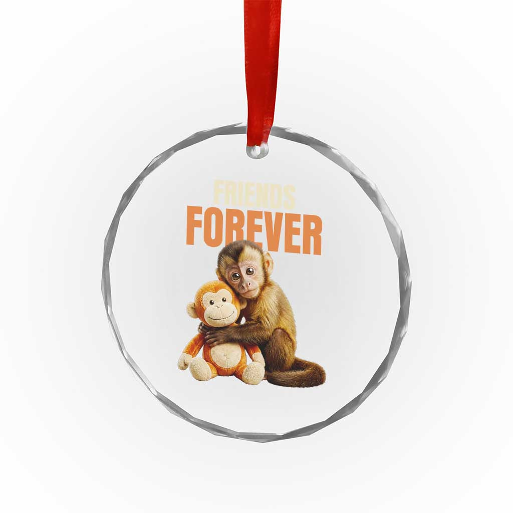 Friends Forever Viral Punch The Monkey Crystal Glass Ornament Cute Baby Monkey Hugging Plush Toy Best Friend Gift TS02 Print Your Wear