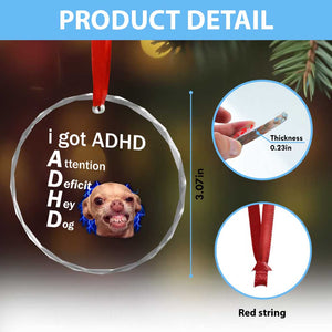 Funny ADHD Dog Meme Crystal Glass Ornament Attention Deficit Hey Dog Humor Lovers TS10 Print Your Wear