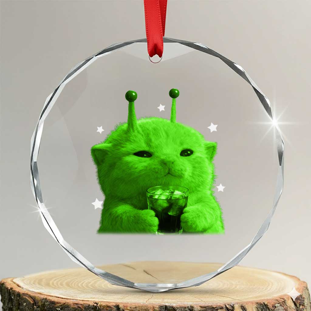 Funny Alien Cat Meme Crystal Glass Ornament Funny Kitten 90s Retro Vintage Graphic Weird Cats Y2k TS10 Transparent Glass 3'' Circle Print Your Wear