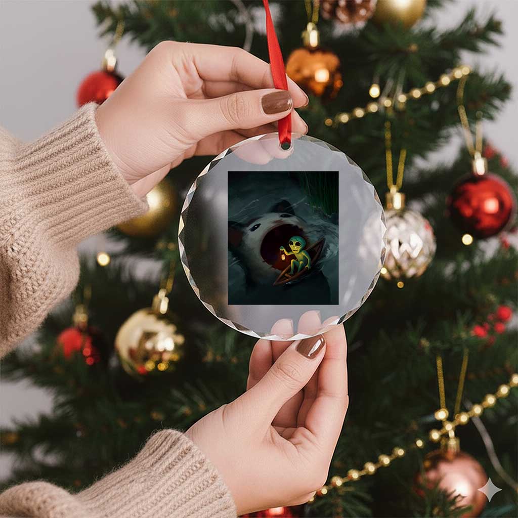 Funny Alien Cat Meme Crystal Glass Ornament Weird Silly TS10 Print Your Wear