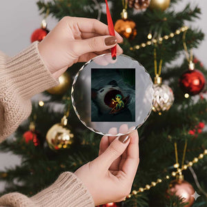 Funny Alien Cat Meme Crystal Glass Ornament Weird Silly TS10 Print Your Wear