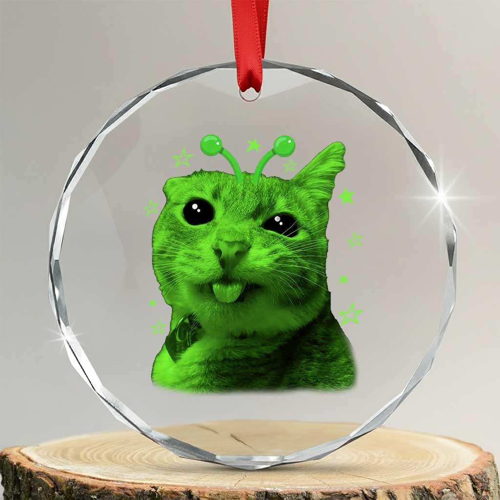 Funny Alien Cat Meme Retro Y2K Vintage Space Kitty Crystal Glass Ornament TS10 Transparent Glass 3'' Circle Print Your Wear