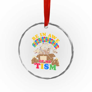 Funny Autism Awareness Crystal Glass Ornament Be In Awe Of My 'Tism Autistic Raccoon Opossum Skunk TS11 Print Your Wear