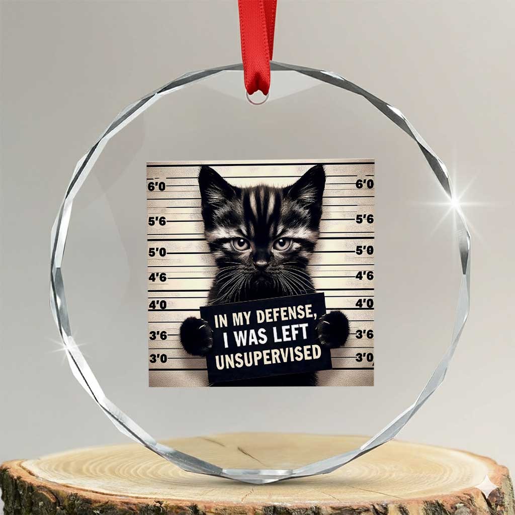 Funny Bad Cat Attitude Crystal Glass Ornament In My Defense I Was Left Unsupervised TS12 Transparent Glass 3'' Circle Print Your Wear