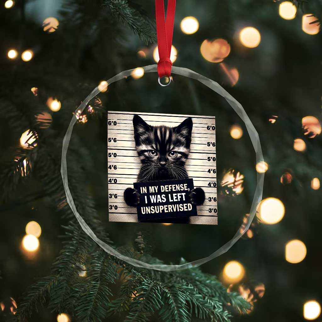 Funny Bad Cat Attitude Crystal Glass Ornament In My Defense I Was Left Unsupervised TS12 Print Your Wear