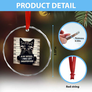 Funny Bad Cat Attitude Crystal Glass Ornament In My Defense I Was Left Unsupervised TS12 Print Your Wear