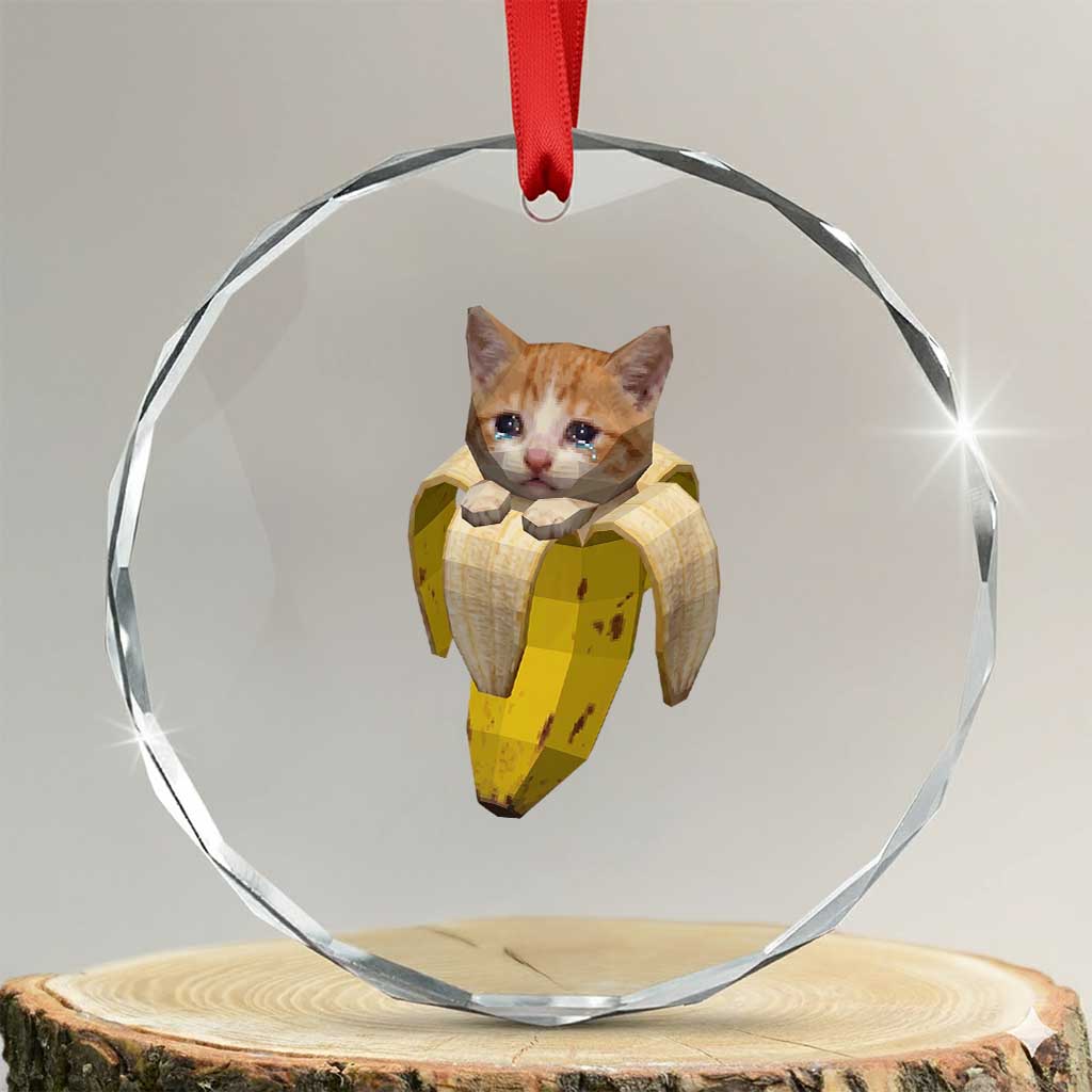 Funny Bananacat Meme Lover Crystal Glass Ornament Cute Kitty Banana Costume TS12 Transparent Glass 3'' Circle Print Your Wear