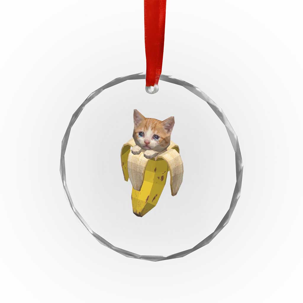 Funny Bananacat Meme Lover Crystal Glass Ornament Cute Kitty Banana Costume TS12 Print Your Wear
