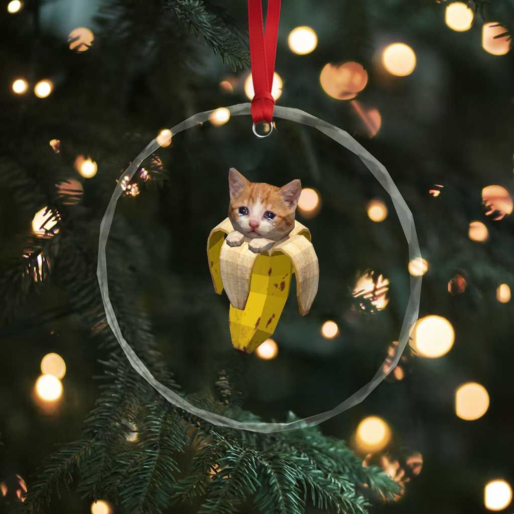 Funny Bananacat Meme Lover Crystal Glass Ornament Cute Kitty Banana Costume TS12 Print Your Wear