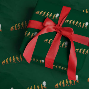 Funny BBQ Wrapping Paper Roll Evolution Of Grill Master Grilling Gifts Meat Smoking TS10 Green Print Your Wear