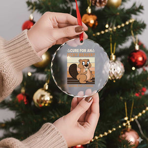 Funny Beaver Crystal Glass Ornament Cure For An Itchy Beaver Ask For A Friend Adult Humor TS02 Print Your Wear