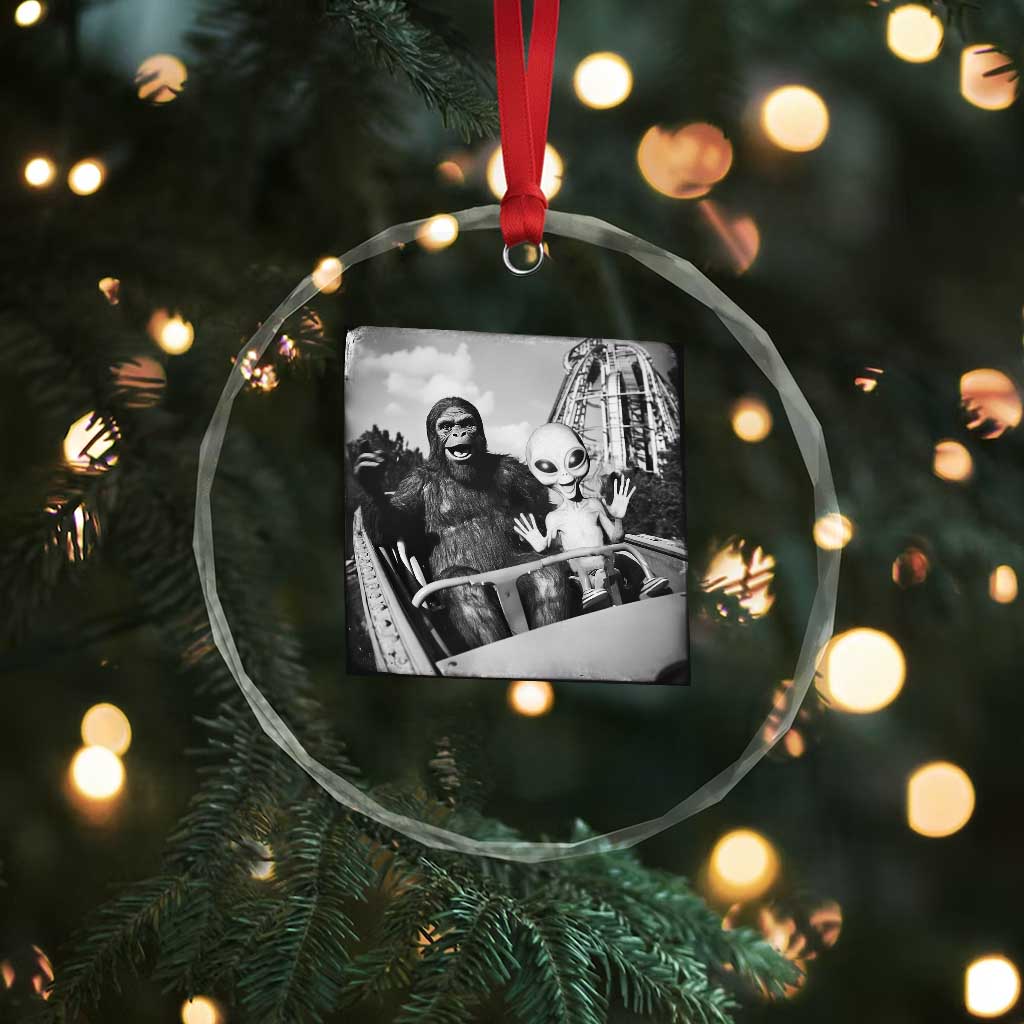 Funny Bigfoot Alien Crystal Glass Ornament Sasquatch UFO Coaster TS10 Print Your Wear