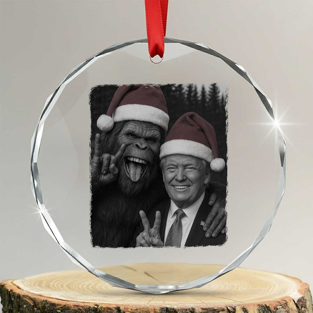 Funny Bigfoot Selfie Christmas Crystal Glass Ornament Sasquatch Trump Meme TS14 Transparent Glass 3'' Circle Print Your Wear