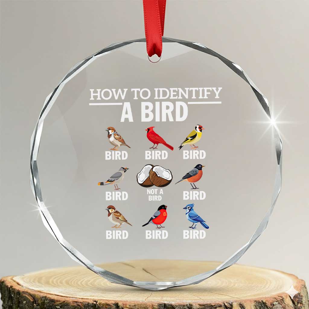 Funny Bird Watching Crystal Glass Ornament How To Identify A Bird TS02 Transparent Glass 3'' Circle Print Your Wear