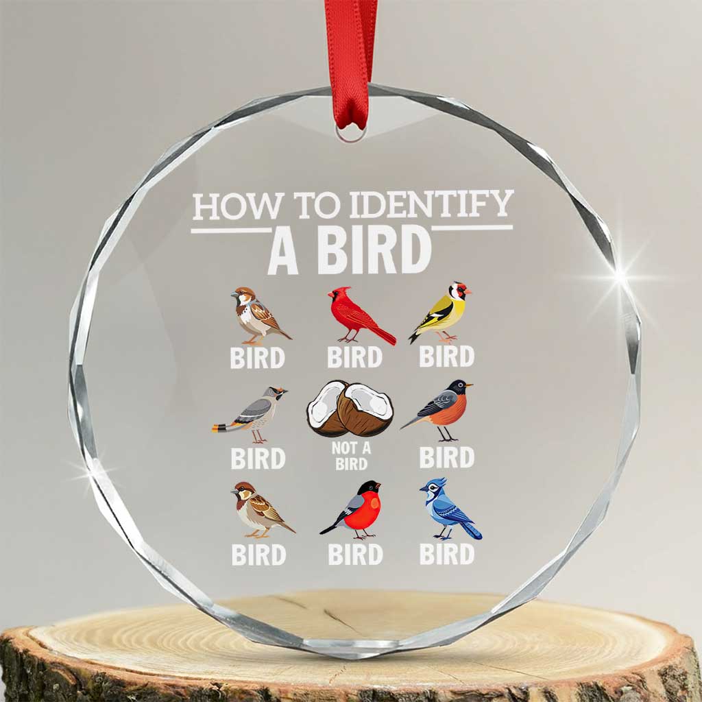 Funny Bird Watching Crystal Glass Ornament How To Identify A Bird - Print Your Wear