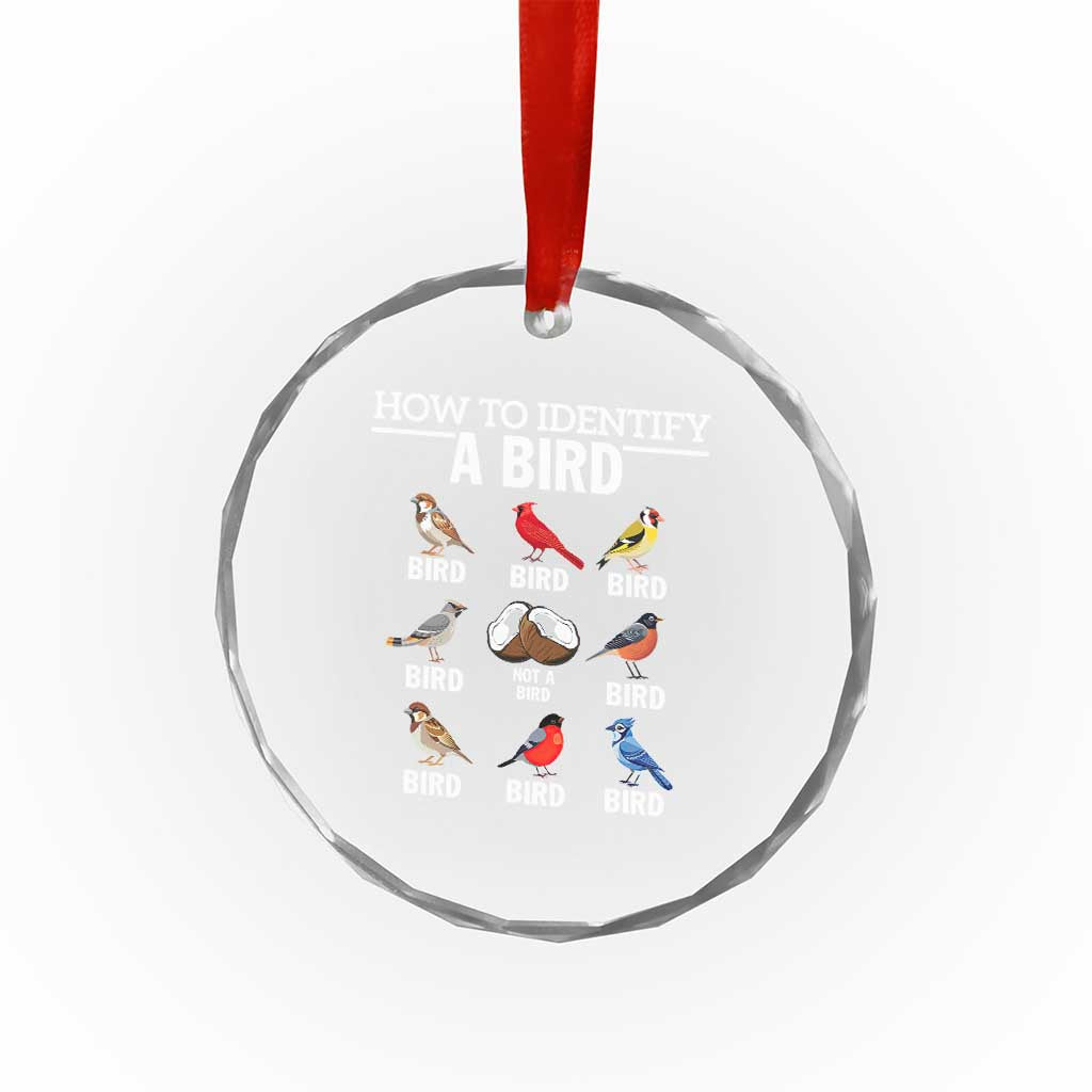 Funny Bird Watching Crystal Glass Ornament How To Identify A Bird TS02 Print Your Wear