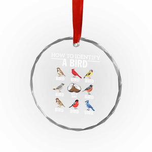 Funny Bird Watching Crystal Glass Ornament How To Identify A Bird TS02 Print Your Wear