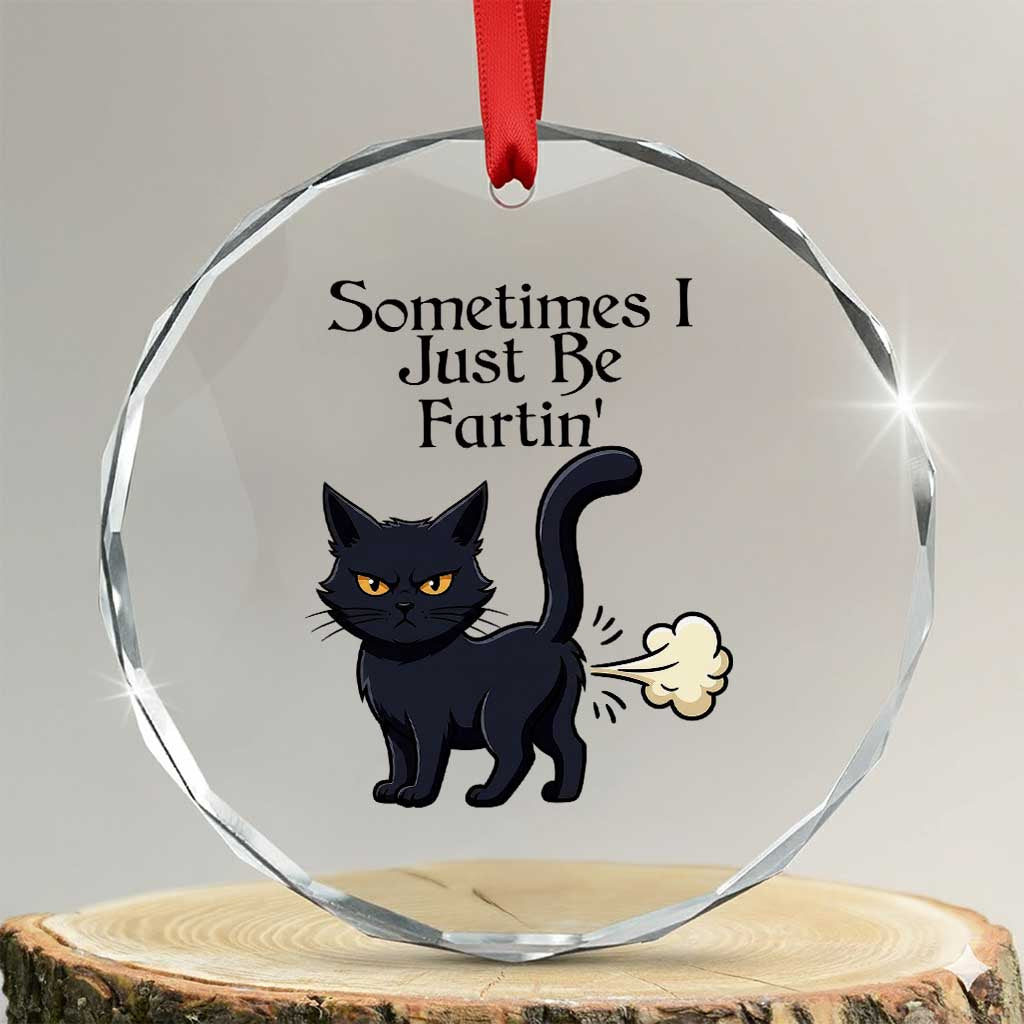 Funny Black Cat Bathroom Humor Crystal Glass Ornament Sometimes I Just Be Fartin TS12 Transparent Glass 3'' Circle Print Your Wear