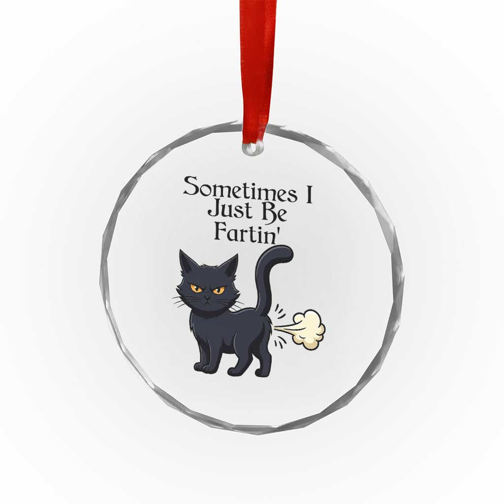 Funny Black Cat Bathroom Humor Crystal Glass Ornament Sometimes I Just Be Fartin TS12 Print Your Wear