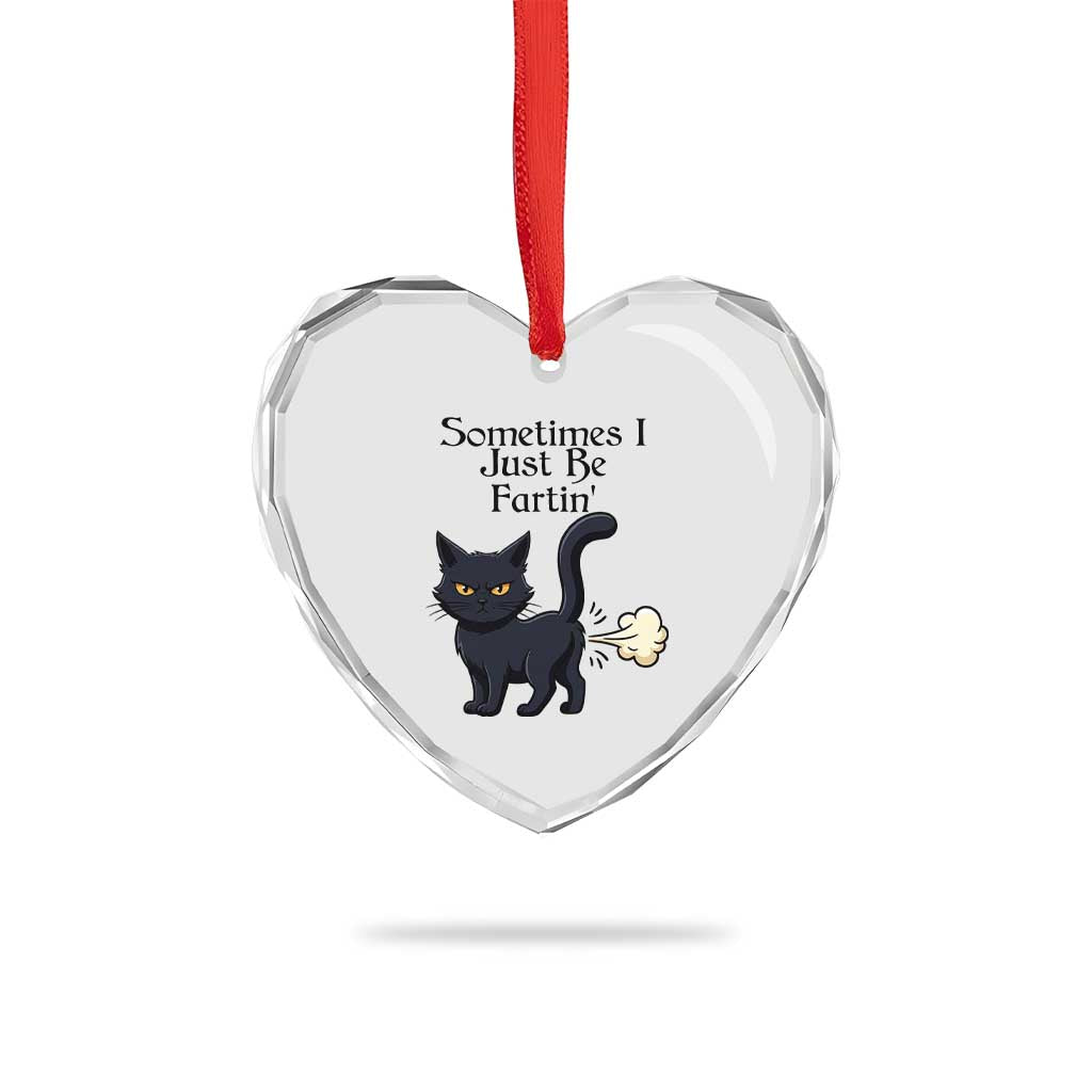 Funny Black Cat Bathroom Humor Heart Crystal Glass Ornament Sometimes I Just Be Fartin TS12 Print Your Wear