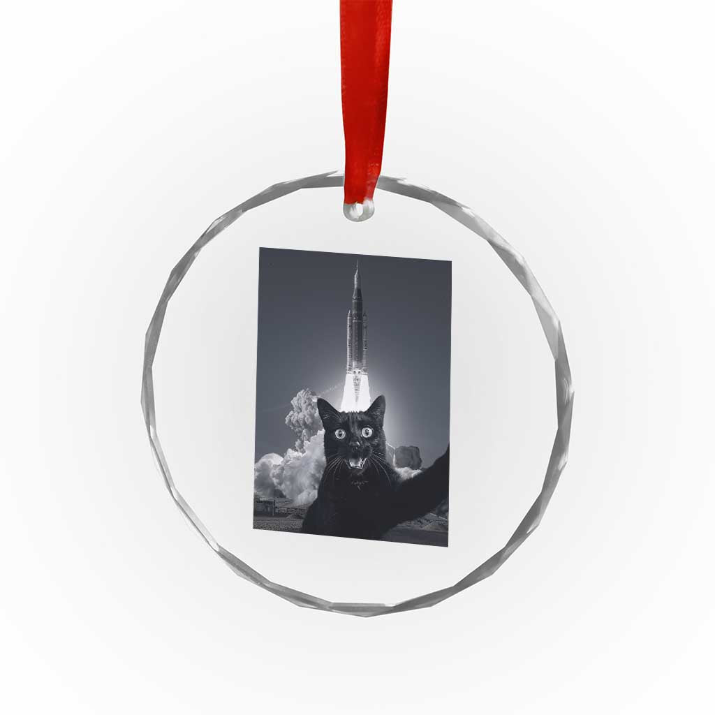 Funny Black Cat Selfie Crystal Glass Ornament Back To The Moon Mission 2026 TS14 Print Your Wear