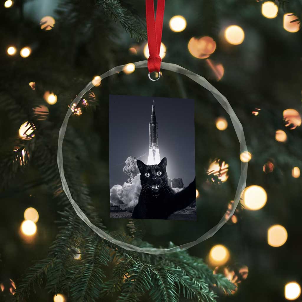 Funny Black Cat Selfie Crystal Glass Ornament Back To The Moon Mission 2026 TS14 Print Your Wear