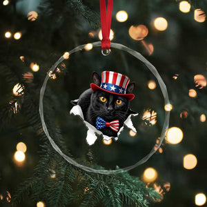 Funny Black Cat With Uncle Sam Hat Crystal Glass Ornament Patriotic Pet Lover