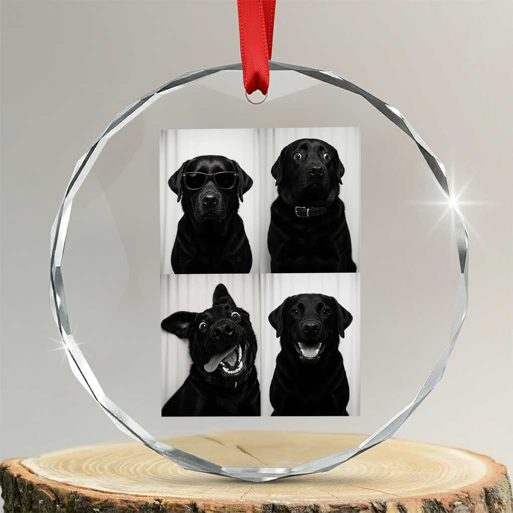 Funny Black Lab Crystal Glass Ornament Photobooth Selfie Dog Mom Gift TS12 Transparent Glass 3'' Circle Print Your Wear