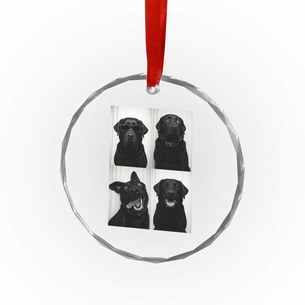 Funny Black Lab Crystal Glass Ornament Photobooth Selfie Dog Mom Gift TS12 Print Your Wear