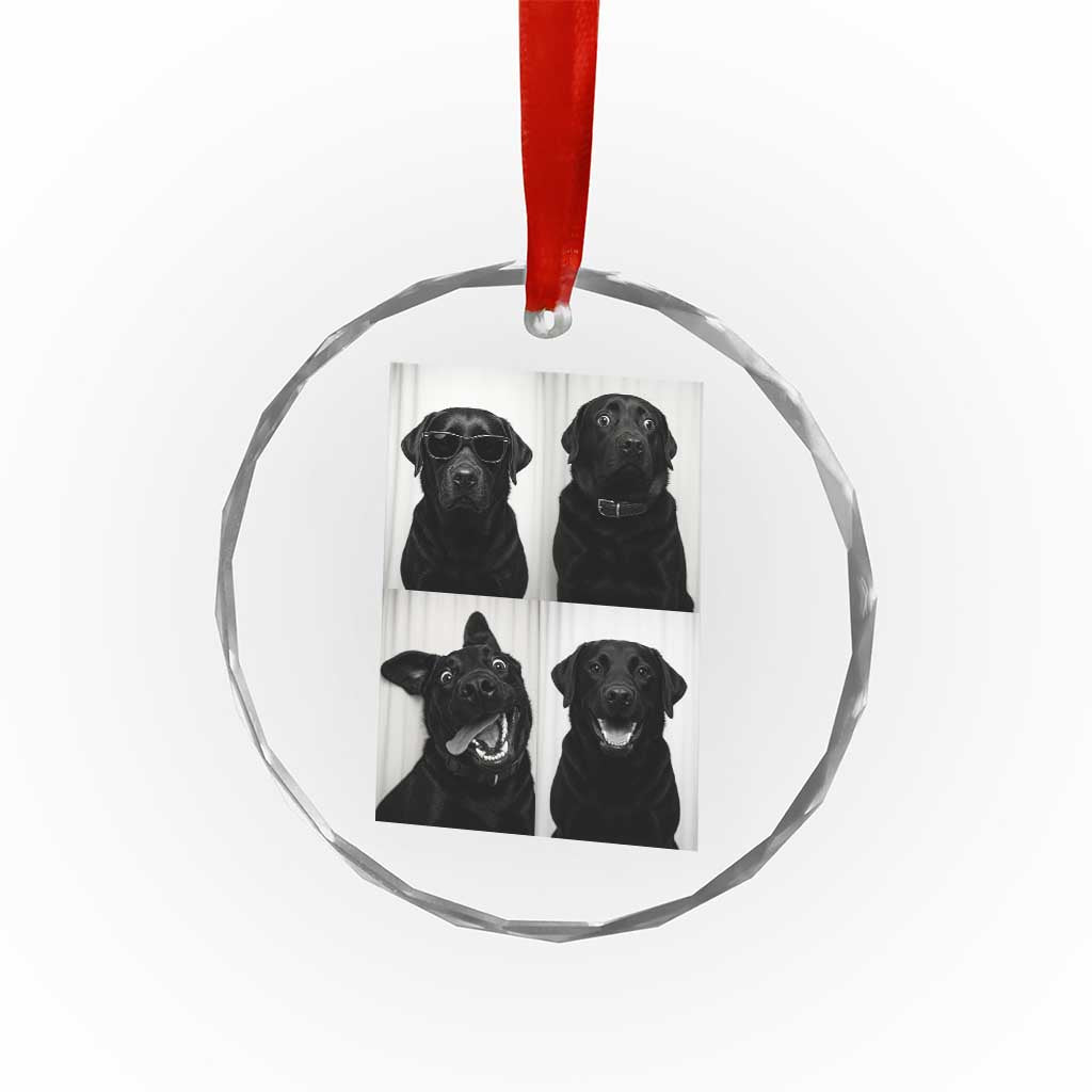 Funny Black Lab Crystal Glass Ornament Photobooth Selfie Dog Mom Gift TS12 Print Your Wear