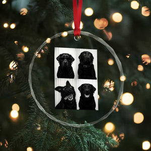 Funny Black Lab Crystal Glass Ornament Photobooth Selfie Dog Mom Gift TS12 Print Your Wear