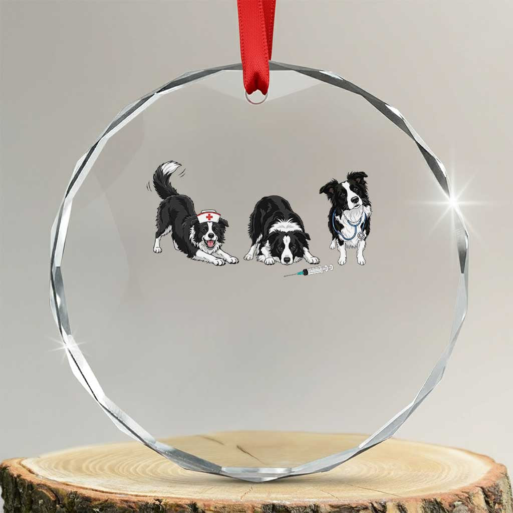 Funny Border Collie Nurse Vet Tech Crystal Glass Ornament Dog Lover Medical Worker Gift TS12 Transparent Glass 3'' Circle Print Your Wear