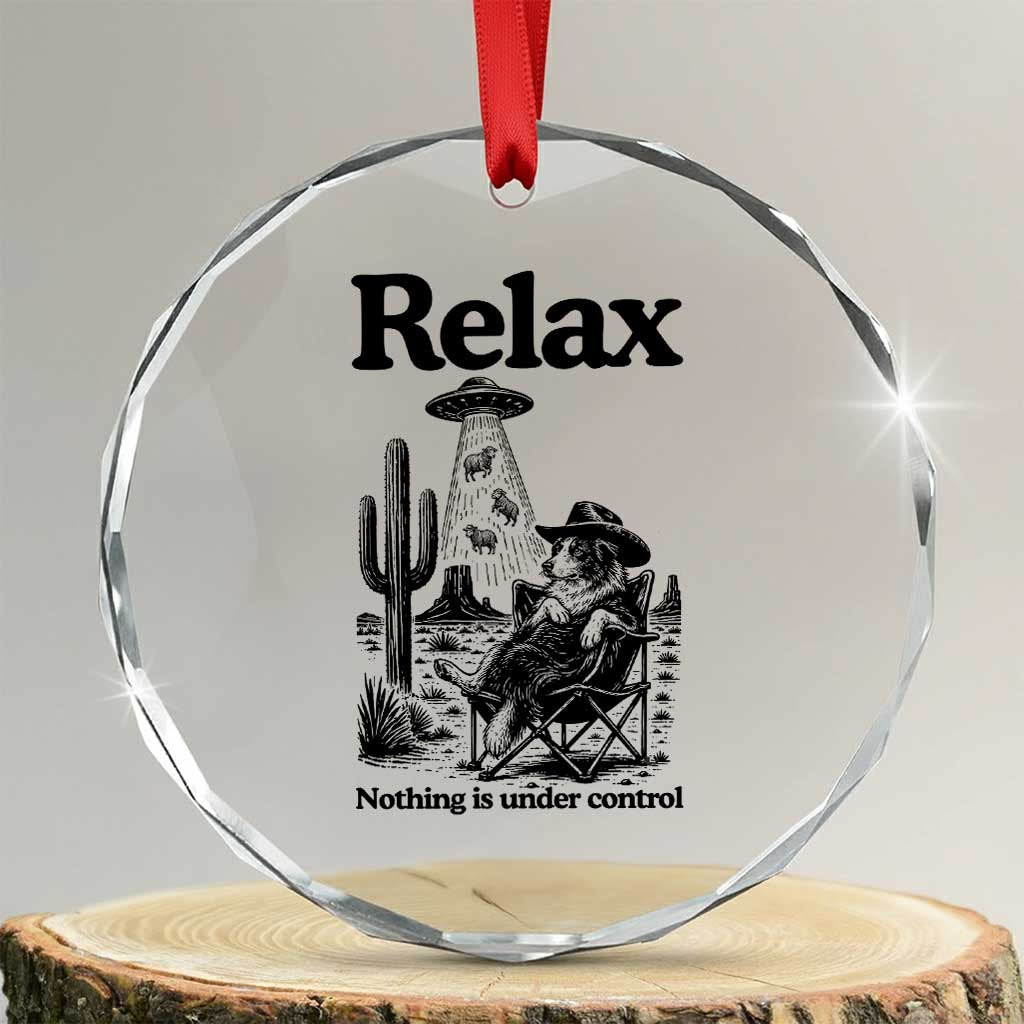 Funny Border Collie UFO Sheep Farmer Crystal Glass Ornament Relax Nothing Is Under Control Alien Dog Lover Gift