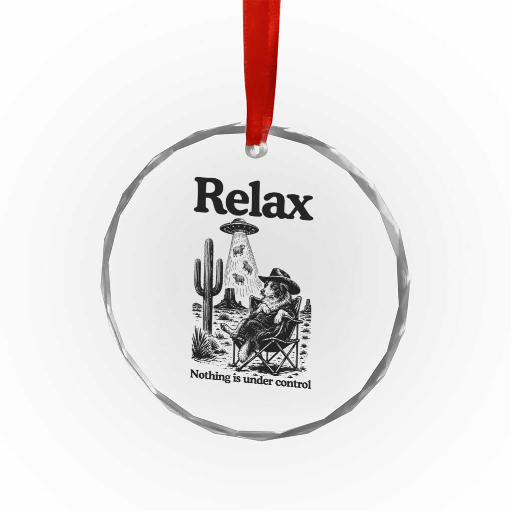 Funny Border Collie UFO Sheep Farmer Crystal Glass Ornament Relax Nothing Is Under Control Alien Dog Lover Gift