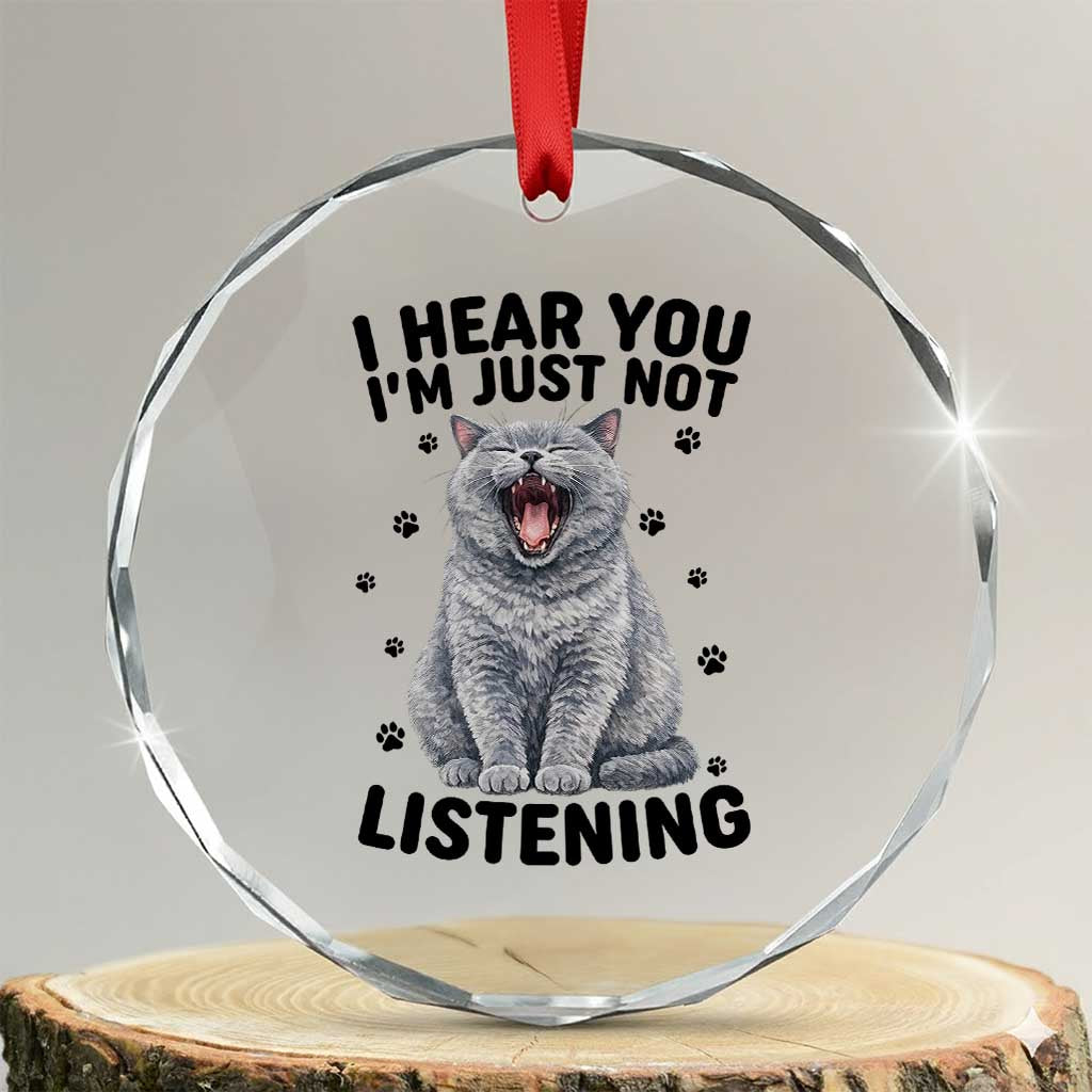 Funny British Shorthair Cat Crystal Glass Ornament I Hear You I Am Just Not Listening TS12 Transparent Glass 3'' Circle Print Your Wear