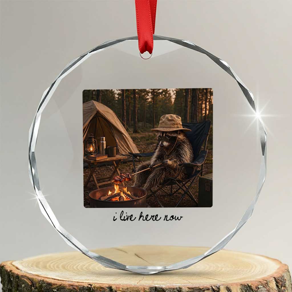 Funny Camping Raccoon Crystal Glass Ornament I Live Here Now Outdoor Lover TS12 Transparent Glass 3'' Circle Print Your Wear