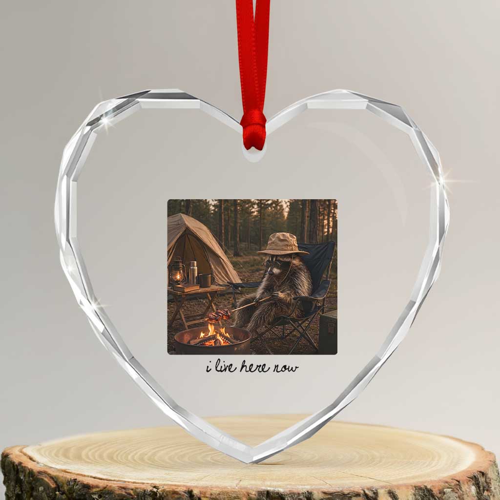 Funny Camping Raccoon Heart Crystal Glass Ornament I Live Here Now Outdoor Lover TS12 Transparent Glass 3'' Heart Print Your Wear
