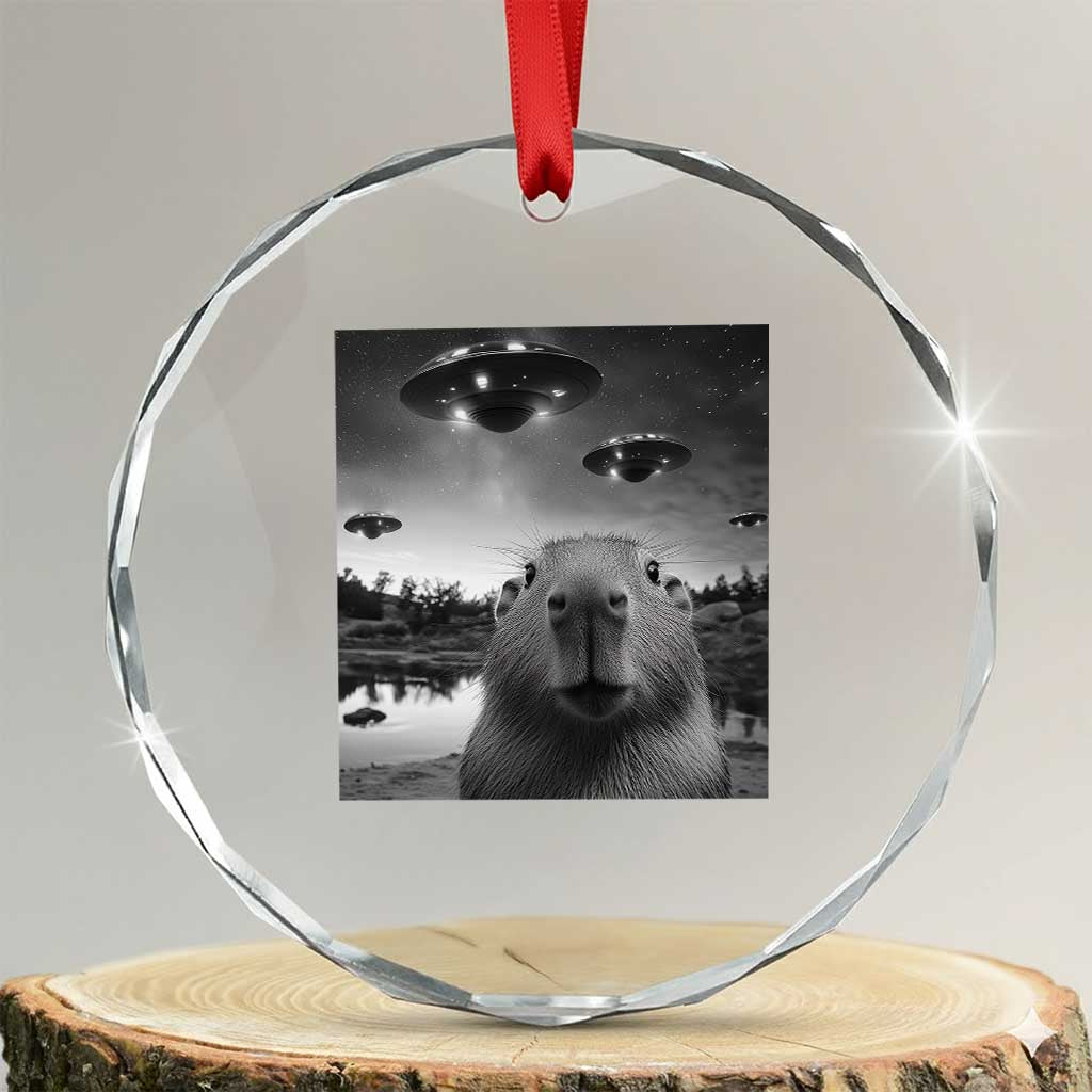 Funny Capybara Crystal Glass Ornament Selfie With UFOs Capy Meme Graphic TS02 Transparent Glass 3'' Circle Print Your Wear