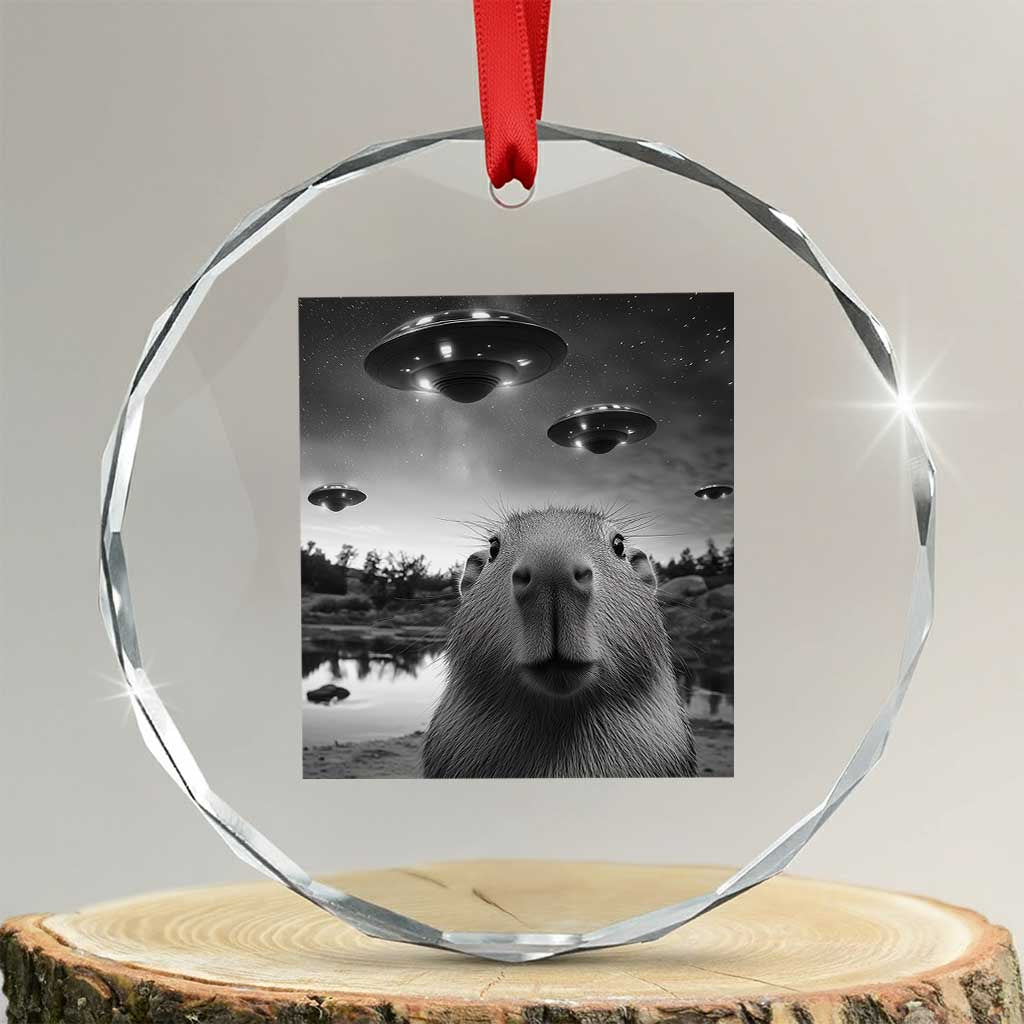 Funny Capybara Crystal Glass Ornament Selfie With UFOs Capy Meme Graphic TS02 Transparent Glass 3'' Circle Print Your Wear
